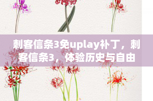 刺客信条3免uplay补丁图片