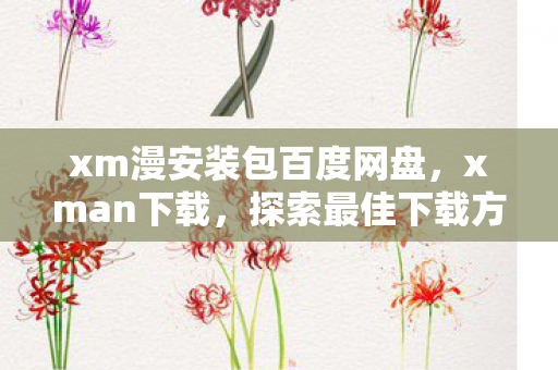 xm漫安装包百度网盘，xman下载，探索最佳下载方式及实用指南