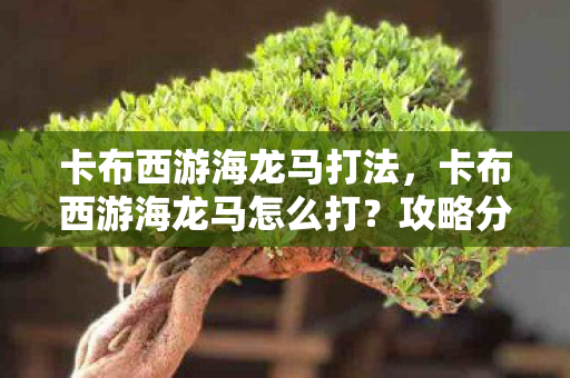 卡布西游海龙马怎么打图片