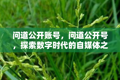 探索数字时代的自媒体之路图片