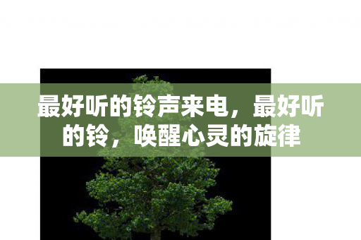 最好听的铃声来电图片