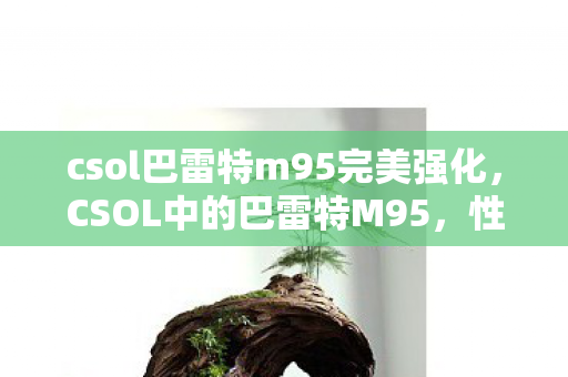 csol巴雷特m95完美强化图片