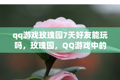 qq游戏玫瑰园7天好友能玩吗图片