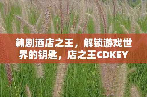 店之王CDKEY的奥秘图片
