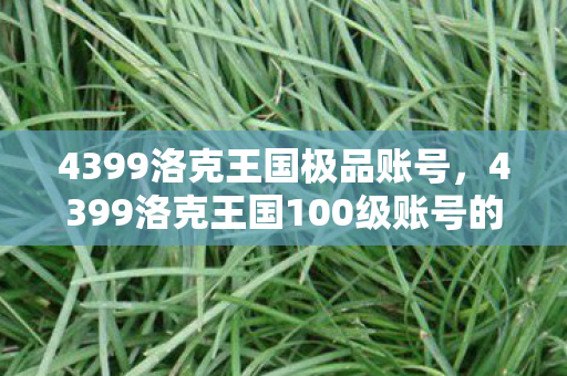 4399洛克王国100级账号的价值与体验图片