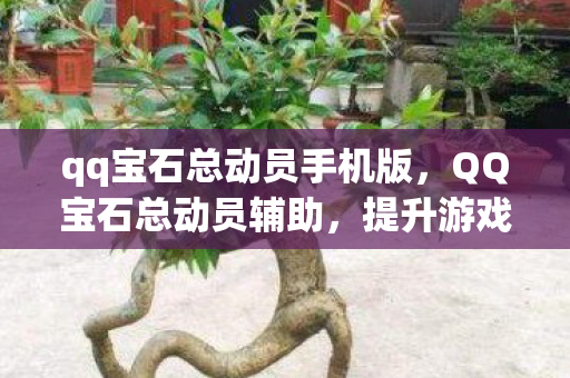 提升游戏体验的合法工具图片