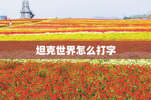 坦克世界怎么打字