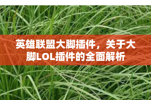 英雄联盟大脚插件，关于大脚LOL插件的全面解析