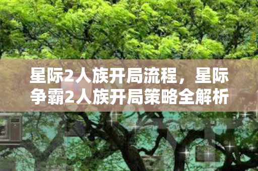 星际争霸2人族开局策略全解析图片