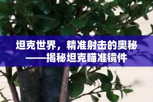 揭秘坦克瞄准镜件图片