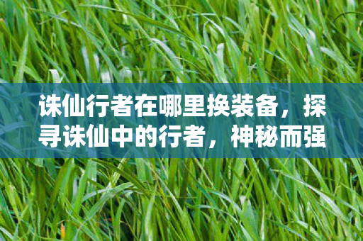 诛仙行者在哪里换装备图片