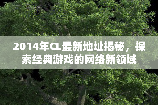 2014年CL最新地址揭秘图片