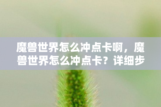 魔兽世界怎么冲点卡啊，魔兽世界怎么冲点卡？详细步骤与注意事项