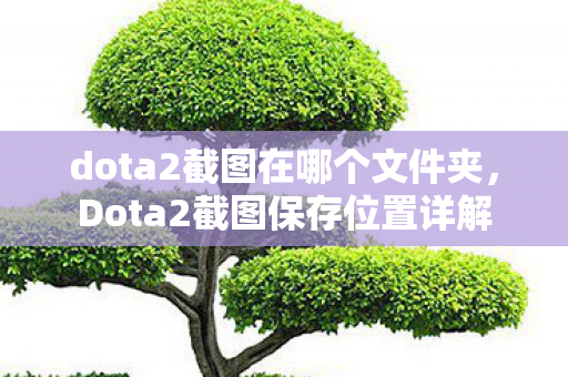 dota2截图在哪个文件夹图片