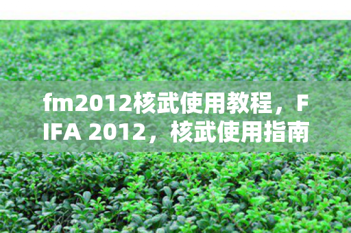fm2012核武使用教程，FIFA 2012，核武使用指南