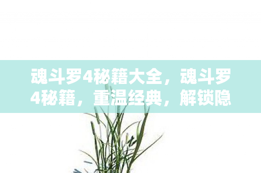 魂斗罗4秘籍大全，魂斗罗4秘籍，重温经典，解锁隐藏关卡与武器