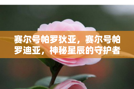 神秘星辰的守护者图片