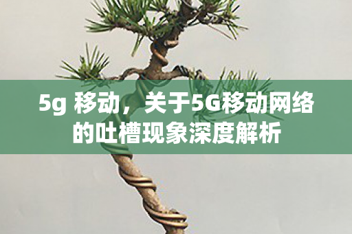 5g 移动，关于5G移动网络的吐槽现象深度解析