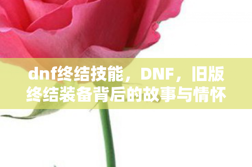 dnf终结技能，DNF，旧版终结装备背后的故事与情怀