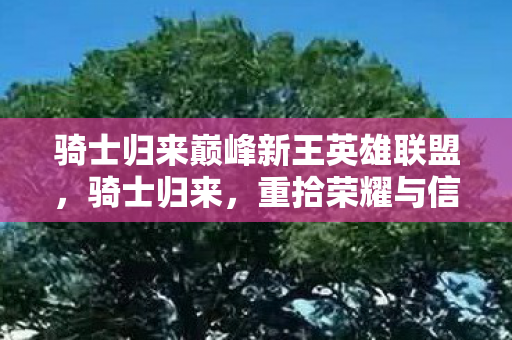 骑士归来巅峰新王英雄联盟图片