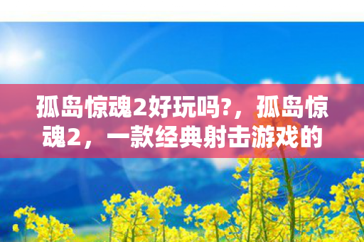 孤岛惊魂2好玩吗?，孤岛惊魂2，一款经典射击游戏的魅力与挑战