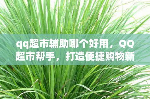 qq超市辅助哪个好用,QQ超市帮手,打造便捷购物新体验 qq超市辅助哪个好用,QQ超市帮手,打造便捷购物新体验