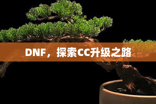 DNF，探索CC升级之路