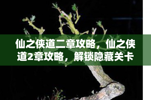 仙之侠道二章攻略，仙之侠道2章攻略，解锁隐藏关卡，提升实力，成为顶尖侠客！