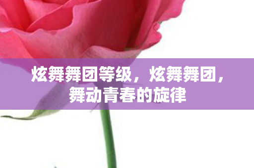 舞动青春的旋律图片