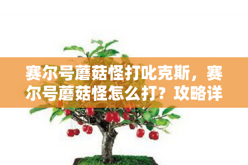 赛尔号蘑菇怪打叱克斯图片
