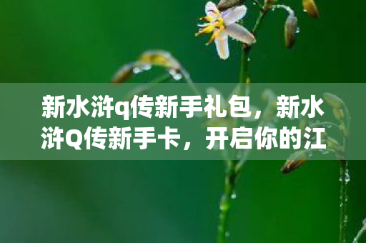新水浒q传新手礼包图片