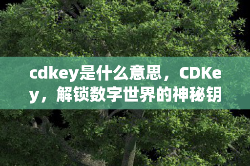 解锁数字世界的神秘钥匙图片