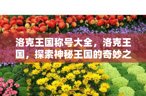 探索神秘王国的奇妙之旅图片