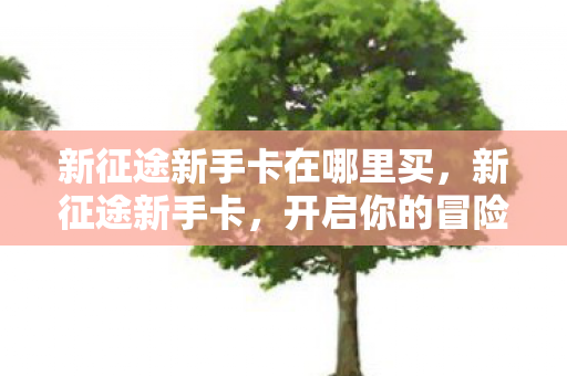 新征途新手卡在哪里买图片