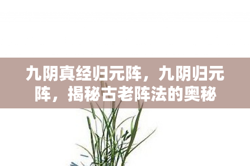 揭秘古老阵法的奥秘图片