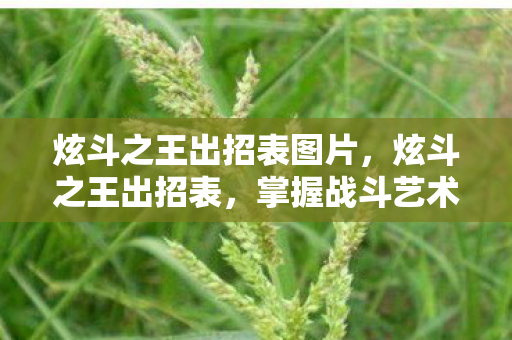 炫斗之王出招表图片图片