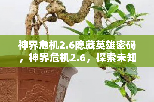 6隐藏英雄密码图片