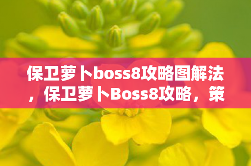 保卫萝卜boss8攻略图解法图片