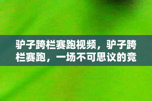 驴子跨栏赛跑视频，驴子跨栏赛跑，一场不可思议的竞技