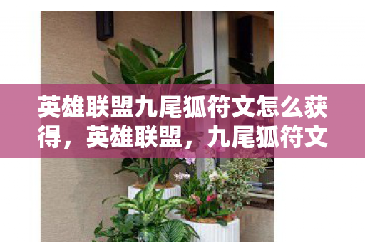 英雄联盟九尾狐符文怎么获得，英雄联盟，九尾狐符文搭配指南