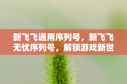 新飞飞通用序列号，新飞飞无忧序列号，解锁游戏新世界的钥匙