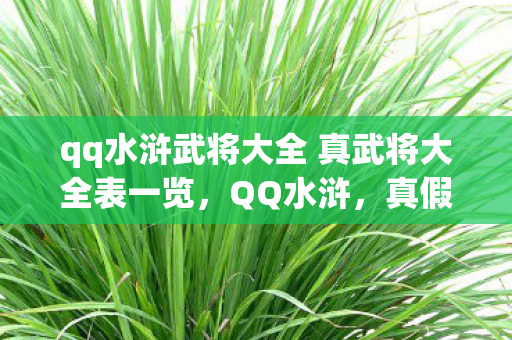 qq水浒武将大全 真武将大全表一览图片