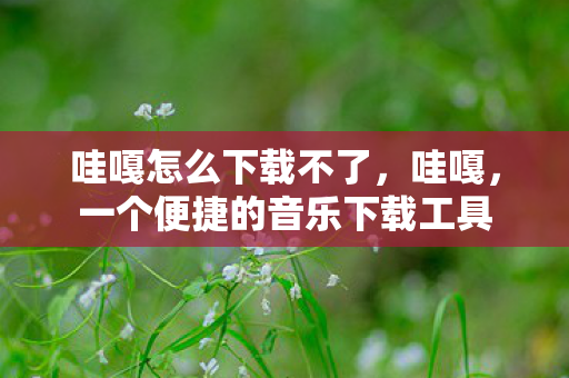 一个便捷的音乐下载工具图片