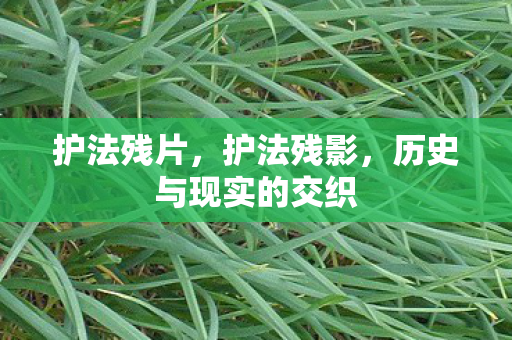 护法残片，护法残影，历史与现实的交织