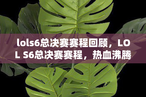 lols6总决赛赛程回顾，LOL S6总决赛赛程，热血沸腾的战斗盛宴