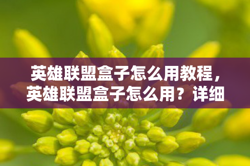 英雄联盟盒子怎么用教程图片