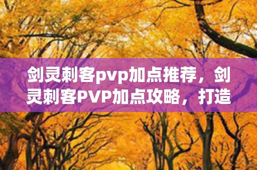 剑灵刺客pvp加点推荐图片