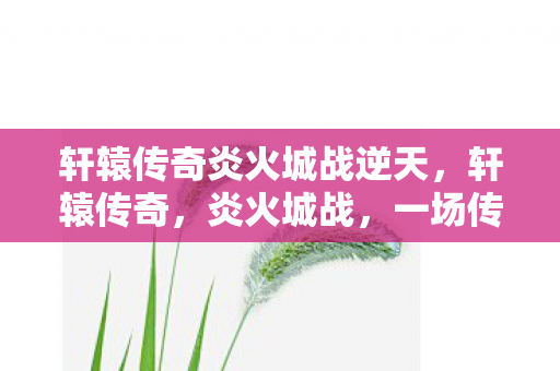 轩辕传奇炎火城战逆天图片