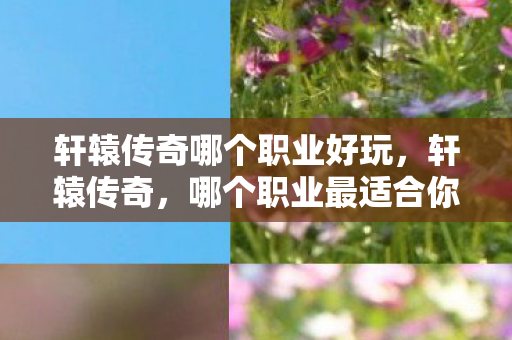 轩辕传奇哪个职业好玩图片