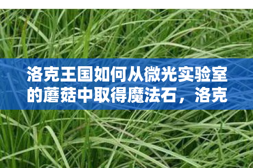 洛克王国如何从微光实验室的蘑菇中取得魔法石图片